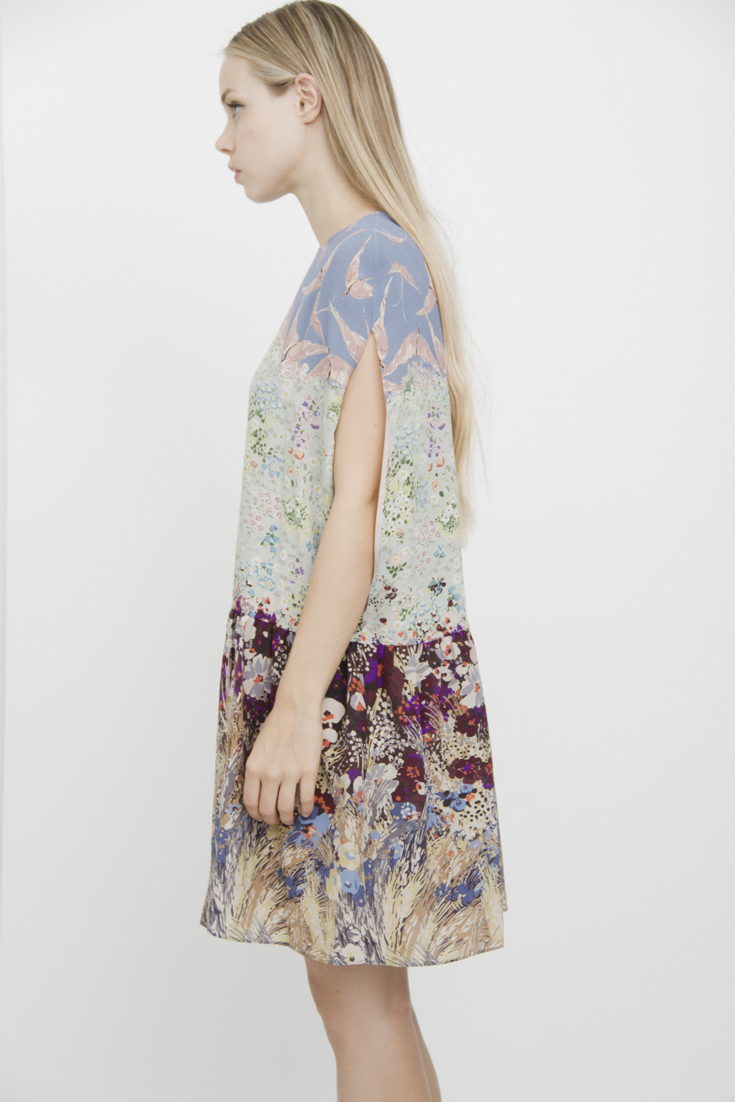 LANDSCAPE DROPWAIST SILK DRESS