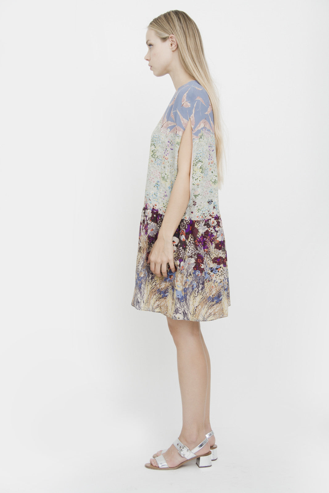 LANDSCAPE DROPWAIST SILK DRESS