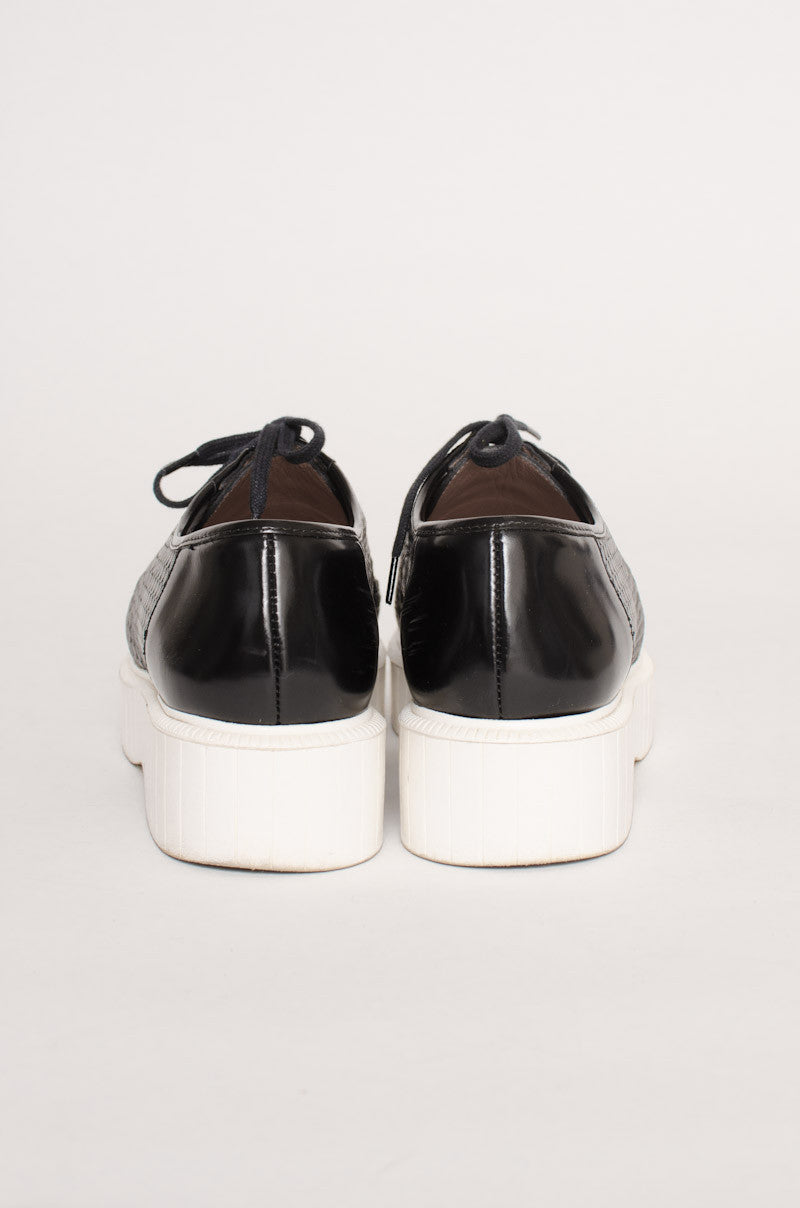 POLO CREEPERS