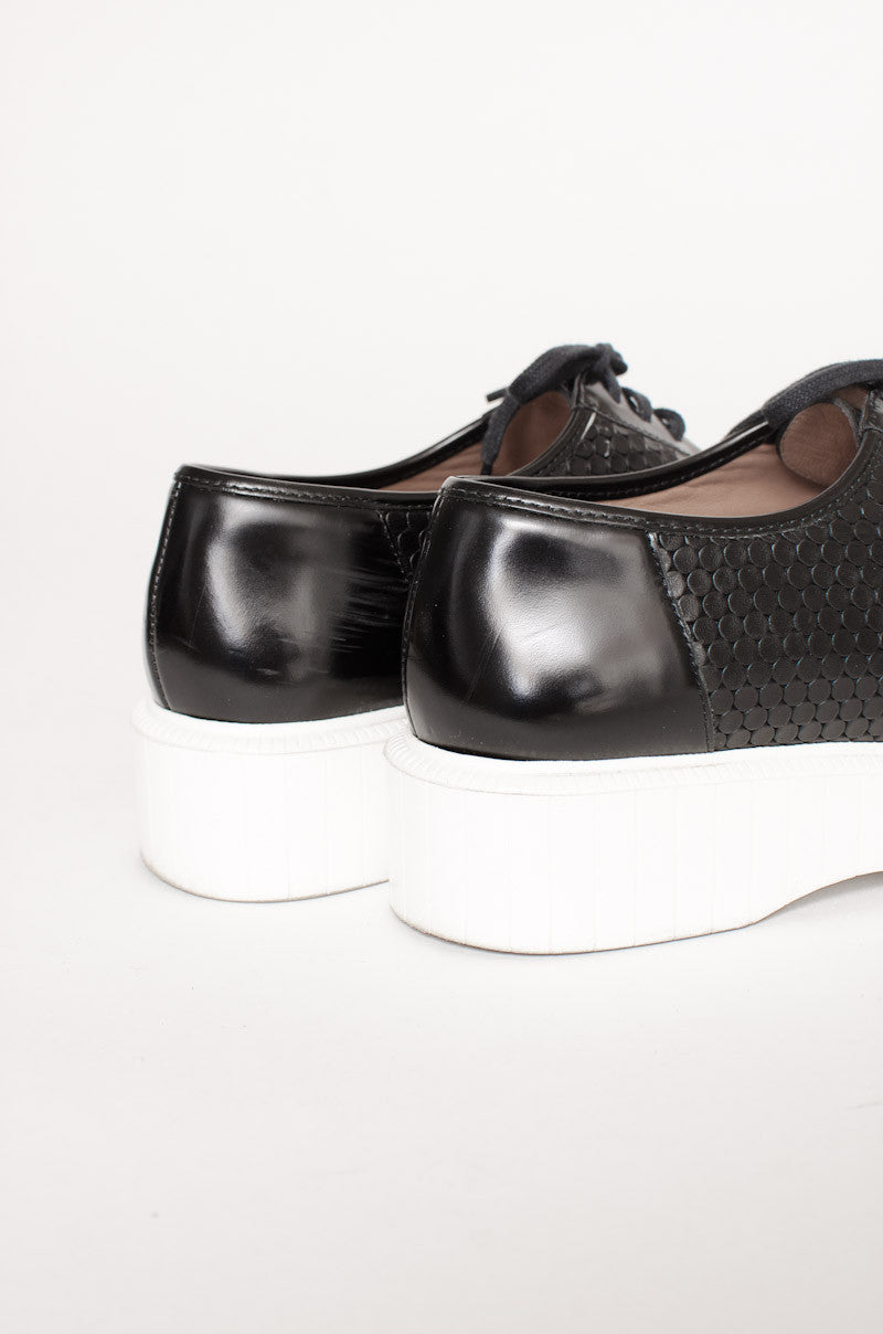 POLO CREEPERS