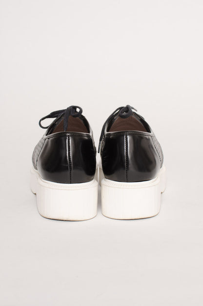 POLO CREEPERS