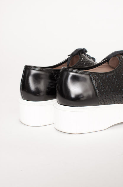 POLO CREEPERS
