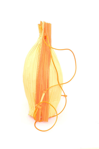 PLEATS PLEASE BACKPACK